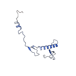 21242_6vmi_0_v1-1
Structure of the human mitochondrial ribosome-EF-G1 complex (ClassIII)