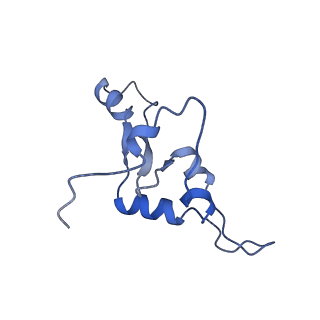 21242_6vmi_3_v1-1
Structure of the human mitochondrial ribosome-EF-G1 complex (ClassIII)