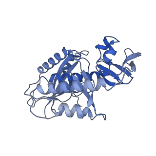 21242_6vmi_7_v1-1
Structure of the human mitochondrial ribosome-EF-G1 complex (ClassIII)