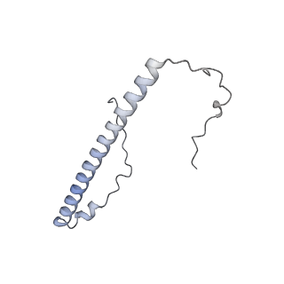 21242_6vmi_8_v1-1
Structure of the human mitochondrial ribosome-EF-G1 complex (ClassIII)