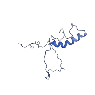 21242_6vmi_9_v1-1
Structure of the human mitochondrial ribosome-EF-G1 complex (ClassIII)