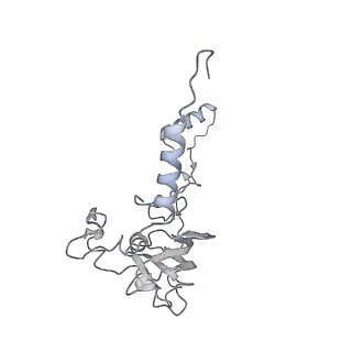 21242_6vmi_A0_v1-1
Structure of the human mitochondrial ribosome-EF-G1 complex (ClassIII)