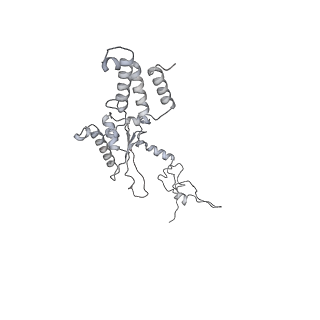 21242_6vmi_A1_v1-1
Structure of the human mitochondrial ribosome-EF-G1 complex (ClassIII)