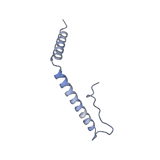 21242_6vmi_A3_v1-1
Structure of the human mitochondrial ribosome-EF-G1 complex (ClassIII)