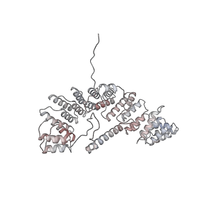 21242_6vmi_A4_v1-1
Structure of the human mitochondrial ribosome-EF-G1 complex (ClassIII)