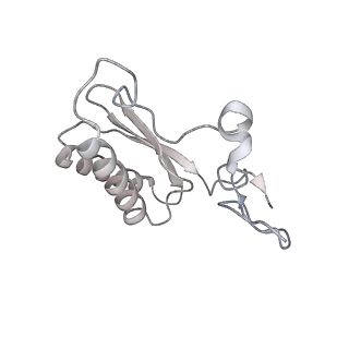 21242_6vmi_AC_v1-1
Structure of the human mitochondrial ribosome-EF-G1 complex (ClassIII)