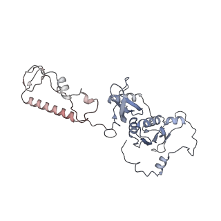 21242_6vmi_AD_v1-1
Structure of the human mitochondrial ribosome-EF-G1 complex (ClassIII)