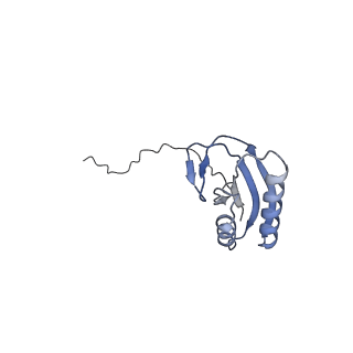 21242_6vmi_AE_v1-1
Structure of the human mitochondrial ribosome-EF-G1 complex (ClassIII)