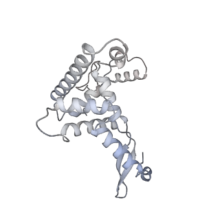 21242_6vmi_AF_v1-1
Structure of the human mitochondrial ribosome-EF-G1 complex (ClassIII)