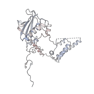 21242_6vmi_AG_v1-1
Structure of the human mitochondrial ribosome-EF-G1 complex (ClassIII)