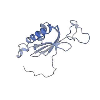 21242_6vmi_AI_v1-1
Structure of the human mitochondrial ribosome-EF-G1 complex (ClassIII)