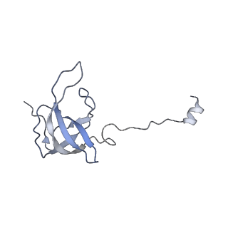 21242_6vmi_AJ_v1-1
Structure of the human mitochondrial ribosome-EF-G1 complex (ClassIII)