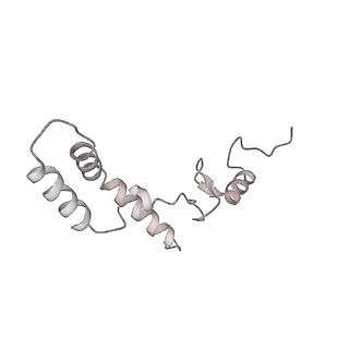 21242_6vmi_AK_v1-1
Structure of the human mitochondrial ribosome-EF-G1 complex (ClassIII)