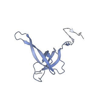 21242_6vmi_AN_v1-1
Structure of the human mitochondrial ribosome-EF-G1 complex (ClassIII)
