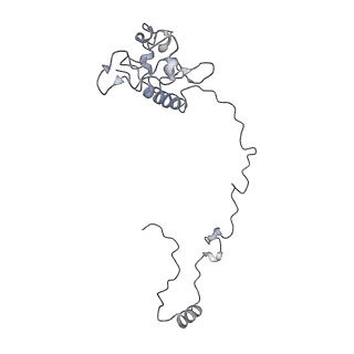 21242_6vmi_AO_v1-1
Structure of the human mitochondrial ribosome-EF-G1 complex (ClassIII)