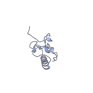 21242_6vmi_AP_v1-1
Structure of the human mitochondrial ribosome-EF-G1 complex (ClassIII)