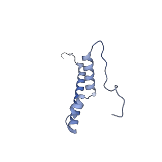 21242_6vmi_AQ_v1-1
Structure of the human mitochondrial ribosome-EF-G1 complex (ClassIII)