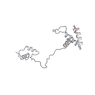 21242_6vmi_AS_v1-1
Structure of the human mitochondrial ribosome-EF-G1 complex (ClassIII)