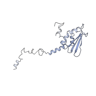 21242_6vmi_AT_v1-1
Structure of the human mitochondrial ribosome-EF-G1 complex (ClassIII)
