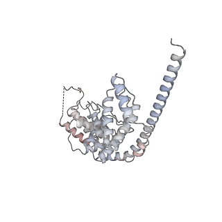 21242_6vmi_AV_v1-1
Structure of the human mitochondrial ribosome-EF-G1 complex (ClassIII)