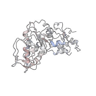21242_6vmi_AX_v1-1
Structure of the human mitochondrial ribosome-EF-G1 complex (ClassIII)