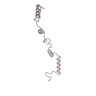 21242_6vmi_AZ_v1-1
Structure of the human mitochondrial ribosome-EF-G1 complex (ClassIII)