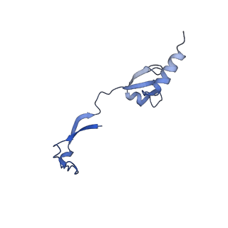 21242_6vmi_H_v1-1
Structure of the human mitochondrial ribosome-EF-G1 complex (ClassIII)