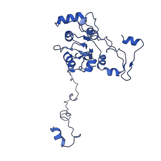 21242_6vmi_M_v1-1
Structure of the human mitochondrial ribosome-EF-G1 complex (ClassIII)