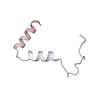 21242_6vmi_TA_v1-1
Structure of the human mitochondrial ribosome-EF-G1 complex (ClassIII)