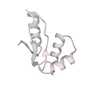 21242_6vmi_TC_v1-1
Structure of the human mitochondrial ribosome-EF-G1 complex (ClassIII)