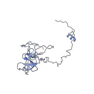 21242_6vmi_V_v1-1
Structure of the human mitochondrial ribosome-EF-G1 complex (ClassIII)