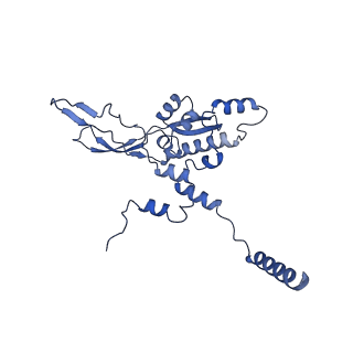 21242_6vmi_X_v1-1
Structure of the human mitochondrial ribosome-EF-G1 complex (ClassIII)