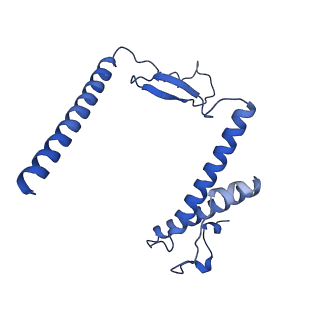 21242_6vmi_Y_v1-1
Structure of the human mitochondrial ribosome-EF-G1 complex (ClassIII)