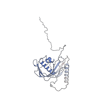 21242_6vmi_d_v1-1
Structure of the human mitochondrial ribosome-EF-G1 complex (ClassIII)
