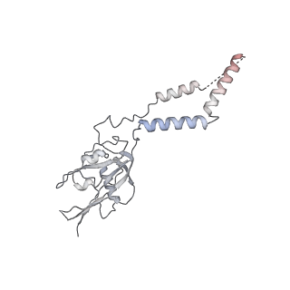 21242_6vmi_e_v1-1
Structure of the human mitochondrial ribosome-EF-G1 complex (ClassIII)