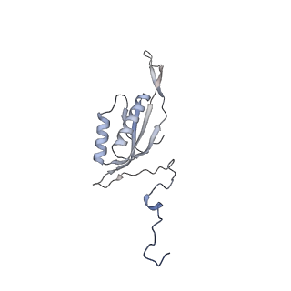 21242_6vmi_f_v1-1
Structure of the human mitochondrial ribosome-EF-G1 complex (ClassIII)