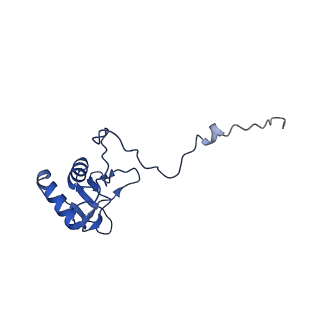 21242_6vmi_g_v1-1
Structure of the human mitochondrial ribosome-EF-G1 complex (ClassIII)