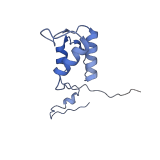 21242_6vmi_h_v1-1
Structure of the human mitochondrial ribosome-EF-G1 complex (ClassIII)