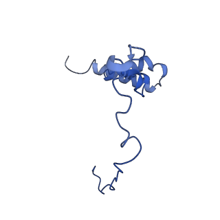 21242_6vmi_i_v1-1
Structure of the human mitochondrial ribosome-EF-G1 complex (ClassIII)