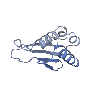 21242_6vmi_k_v1-1
Structure of the human mitochondrial ribosome-EF-G1 complex (ClassIII)