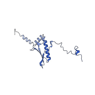 21242_6vmi_p_v1-1
Structure of the human mitochondrial ribosome-EF-G1 complex (ClassIII)