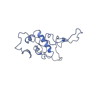 21242_6vmi_r_v1-1
Structure of the human mitochondrial ribosome-EF-G1 complex (ClassIII)