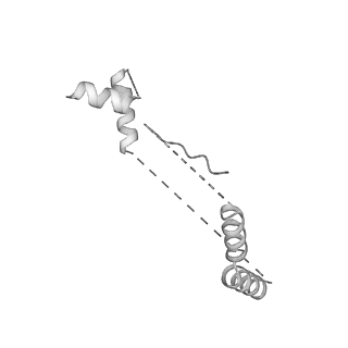 21242_6vmi_u_v1-1
Structure of the human mitochondrial ribosome-EF-G1 complex (ClassIII)