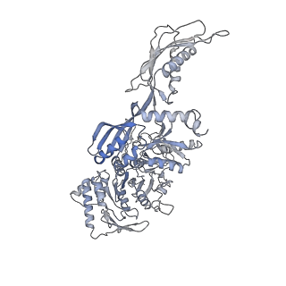 21242_6vmi_v_v1-1
Structure of the human mitochondrial ribosome-EF-G1 complex (ClassIII)