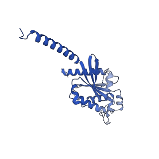 21243_6vms_A_v1-2
Structure of a D2 dopamine receptor-G-protein complex in a lipid membrane