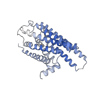 21243_6vms_R_v1-2
Structure of a D2 dopamine receptor-G-protein complex in a lipid membrane