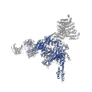 32036_7vmr_B_v1-0
Structure of recombinant RyR2 mutant K4593A (EGTA dataset)