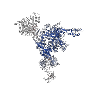 32036_7vmr_C_v1-0
Structure of recombinant RyR2 mutant K4593A (EGTA dataset)