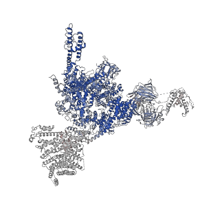 32036_7vmr_D_v1-0
Structure of recombinant RyR2 mutant K4593A (EGTA dataset)