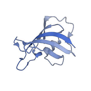 32036_7vmr_G_v1-0
Structure of recombinant RyR2 mutant K4593A (EGTA dataset)